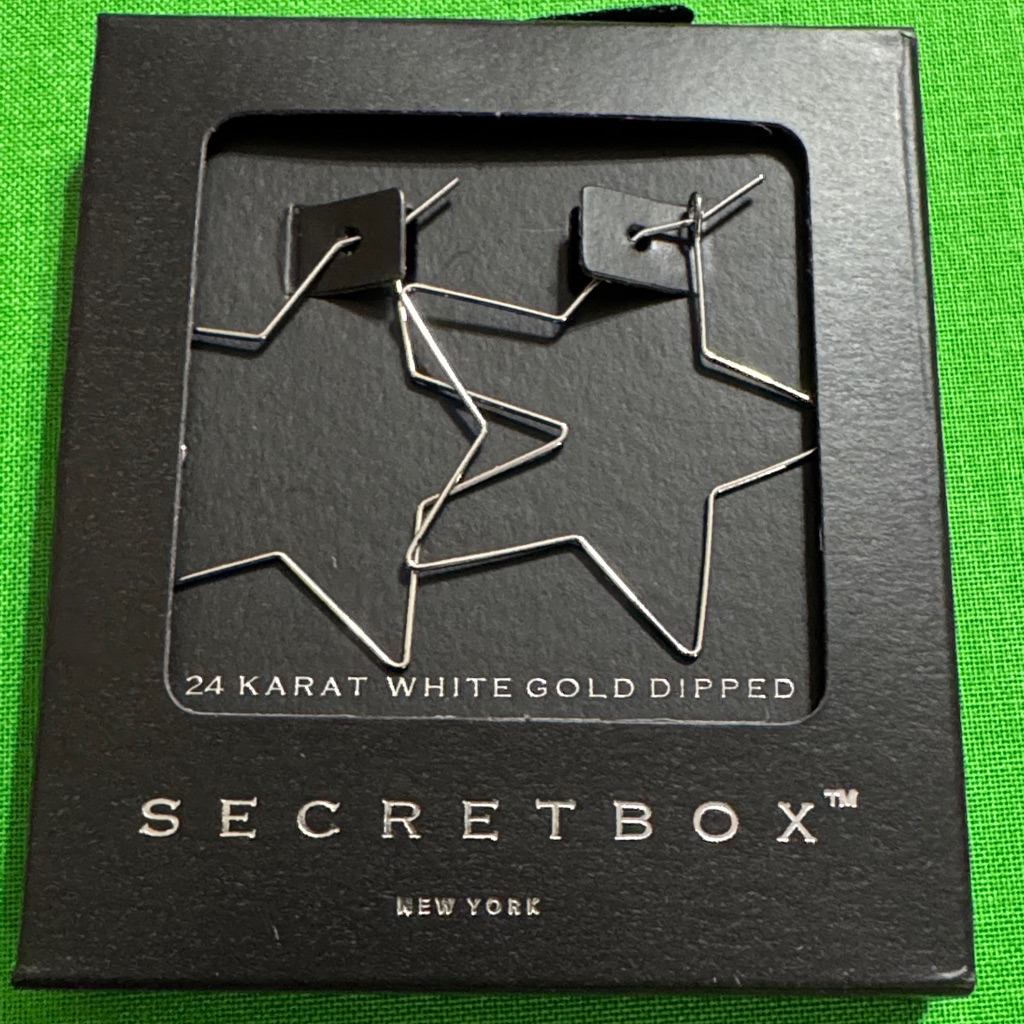 White Gold Star Earrings